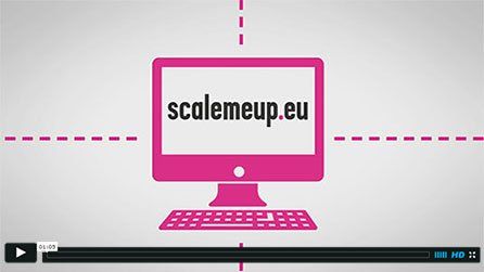 Ministère de l'économie, de l'industrie et du numérique - Scale me up