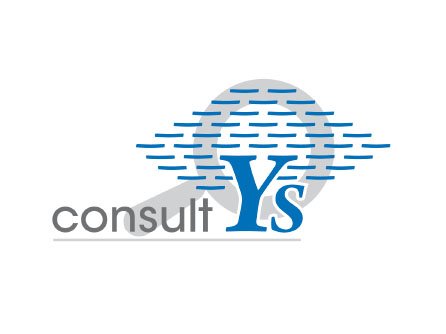 YS Consult - Identité graphique